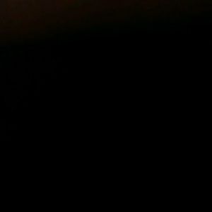 Meet your Posher, Frankie